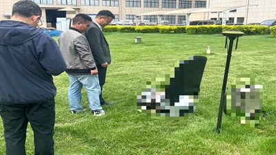 项目动态：上海某企业”集成产品开发IPD咨询项目"调研工作有条不紊展开