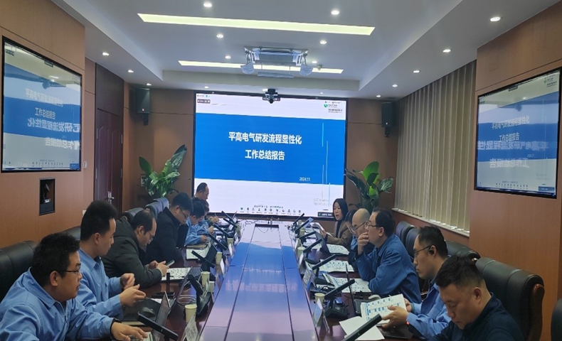 平高电气研发流程显性化案例：以IPD思想导入和流程固化支撑百亿级组织成长(图3)